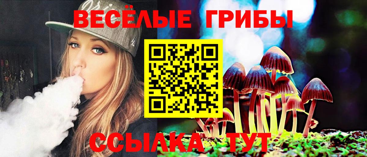 Галлюциногенные грибы GOLDEN TEACHER  Вход с VPN  Галлюциногенные грибы Psilocybe  Чита 